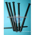black stainless steel concrete nails with plain/grooved shank